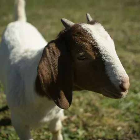 Chalet Quintinha Da Charneca