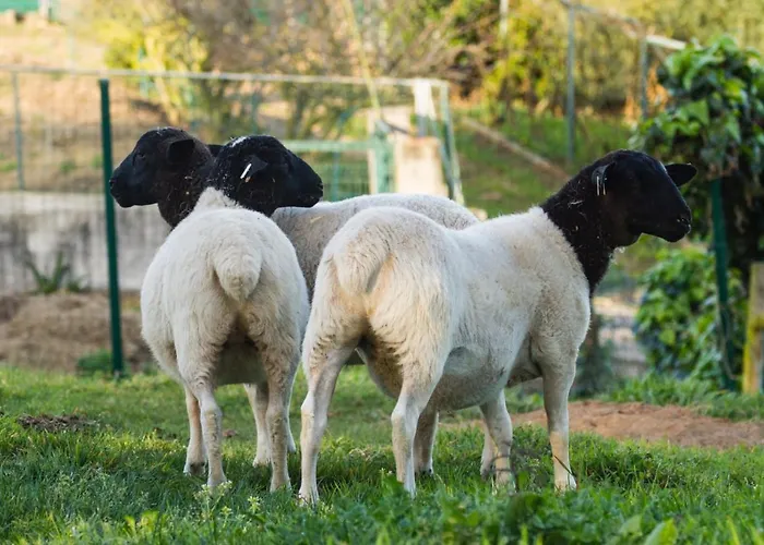 Quintinha Da Charneca Chalé