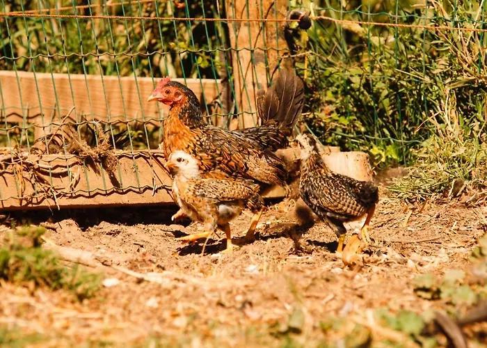 Quintinha Da Charneca Chalé Alfeizerão